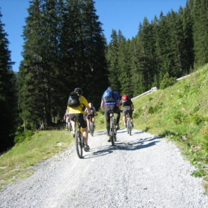Read more about the article Trasy rowerowe